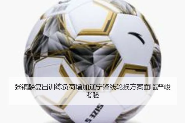 张镇麟复出训练负荷增加辽宁锋线轮换方案面临严峻考验 | jiuyou